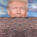 trump's wall